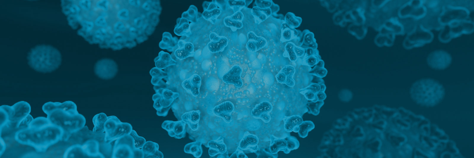 imagem do coronavirus no organismo